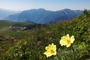 In vetta al Monte Valletto a tutta Birra dai Piani dell’Avaro il 23 giugno 2016  - FOTOGALLERY